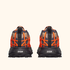 Dior B31