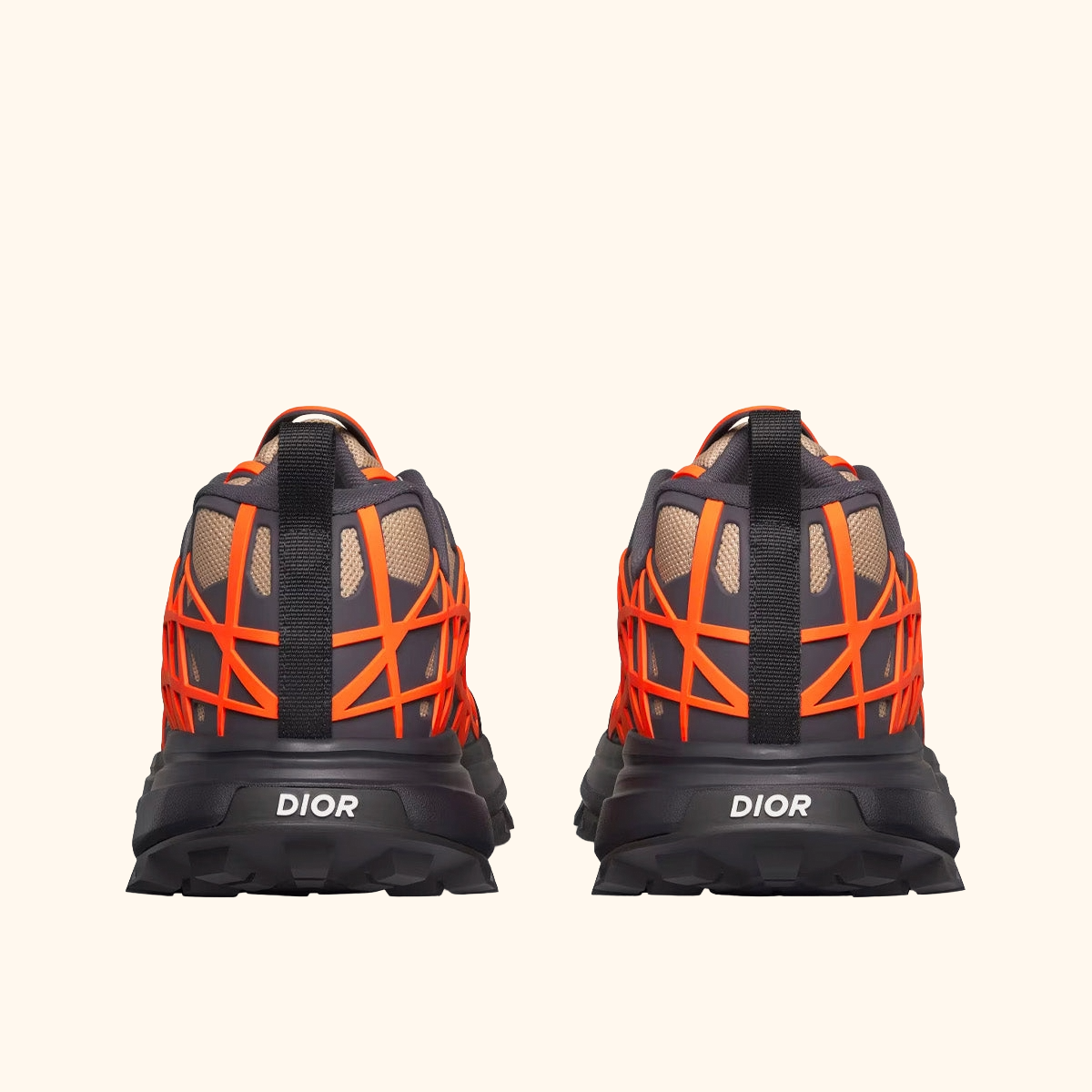 Dior B31