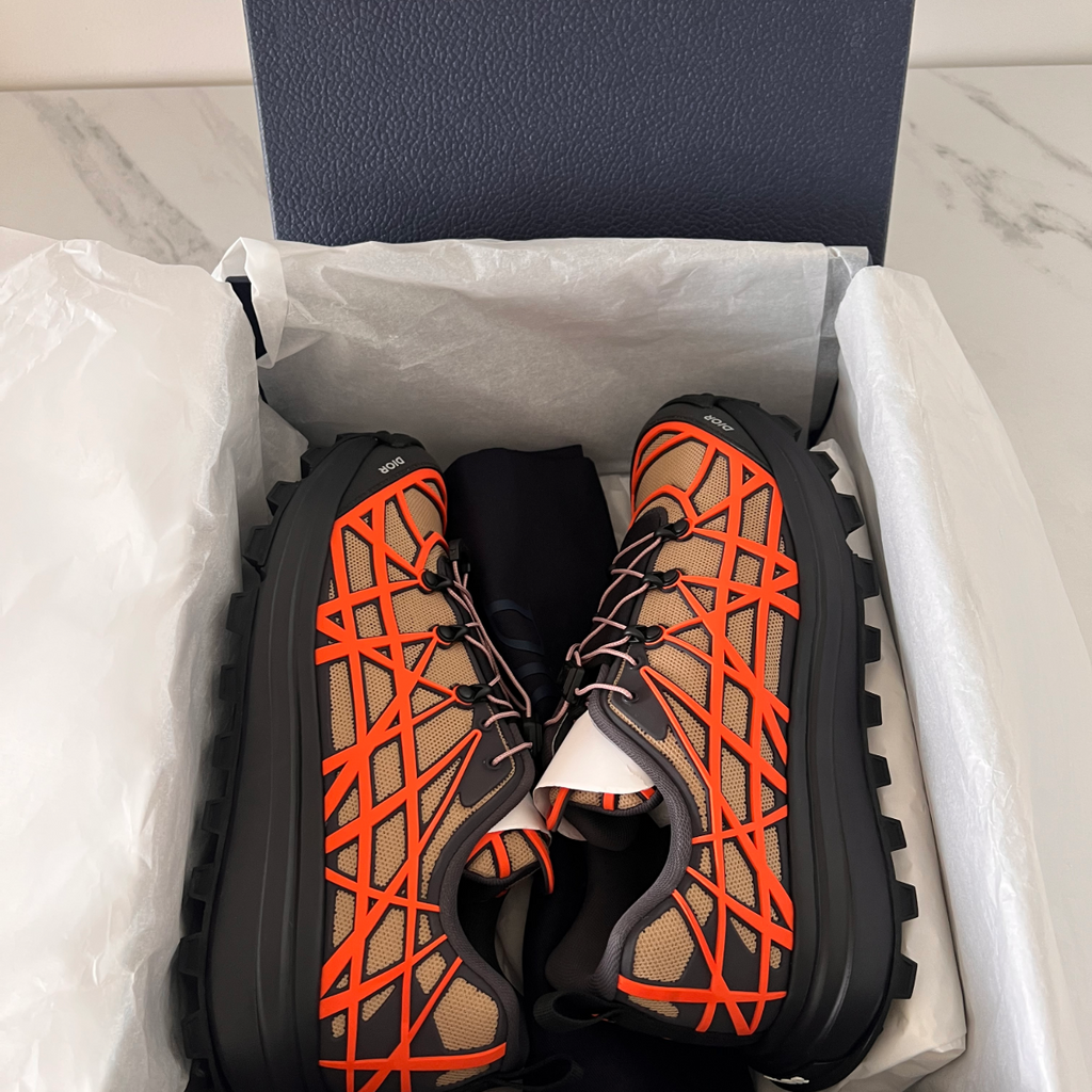 Dior B31