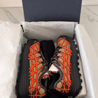 Dior B31