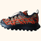 Dior B31