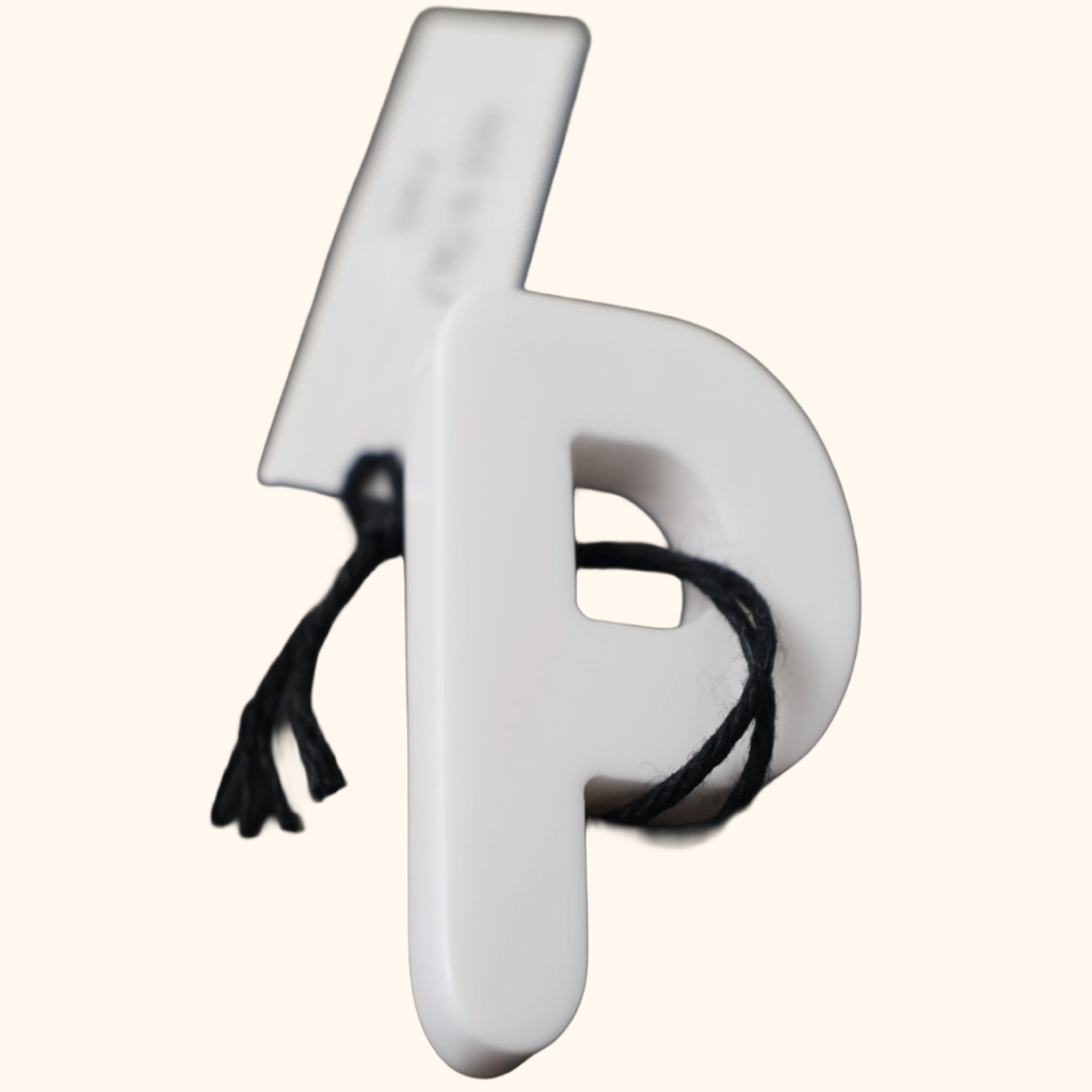 Magnetic letter P single earing