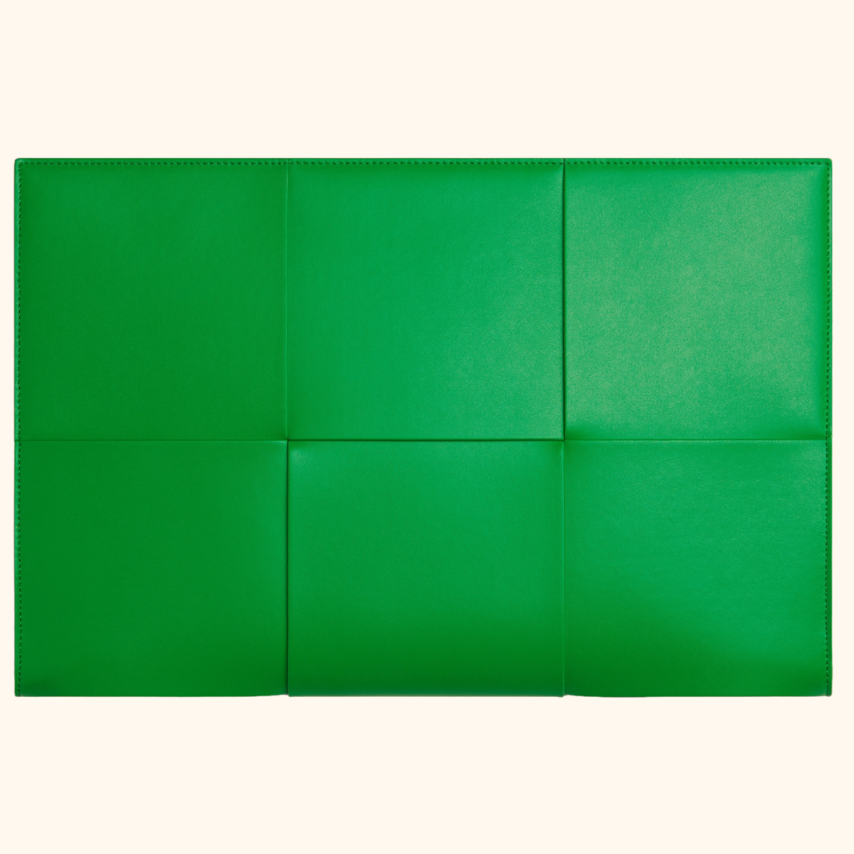 Intreccio document case