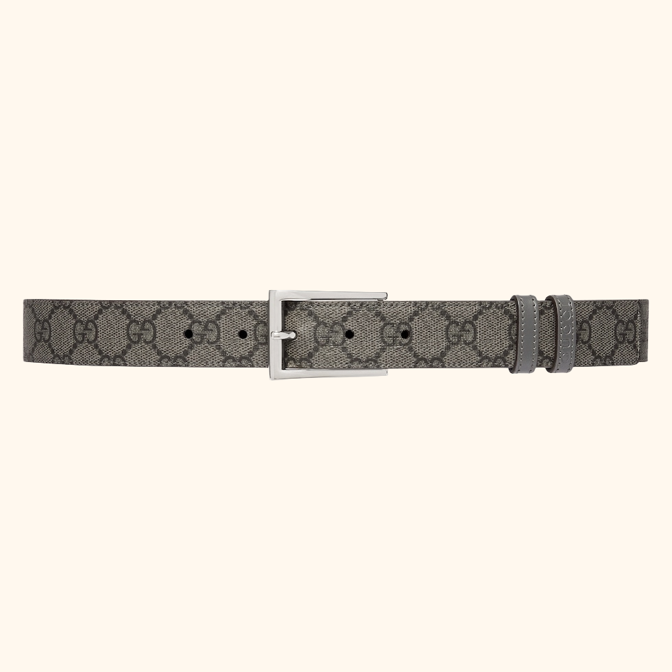 Supreme canvas reversible belt