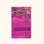 DIOR SCARVE