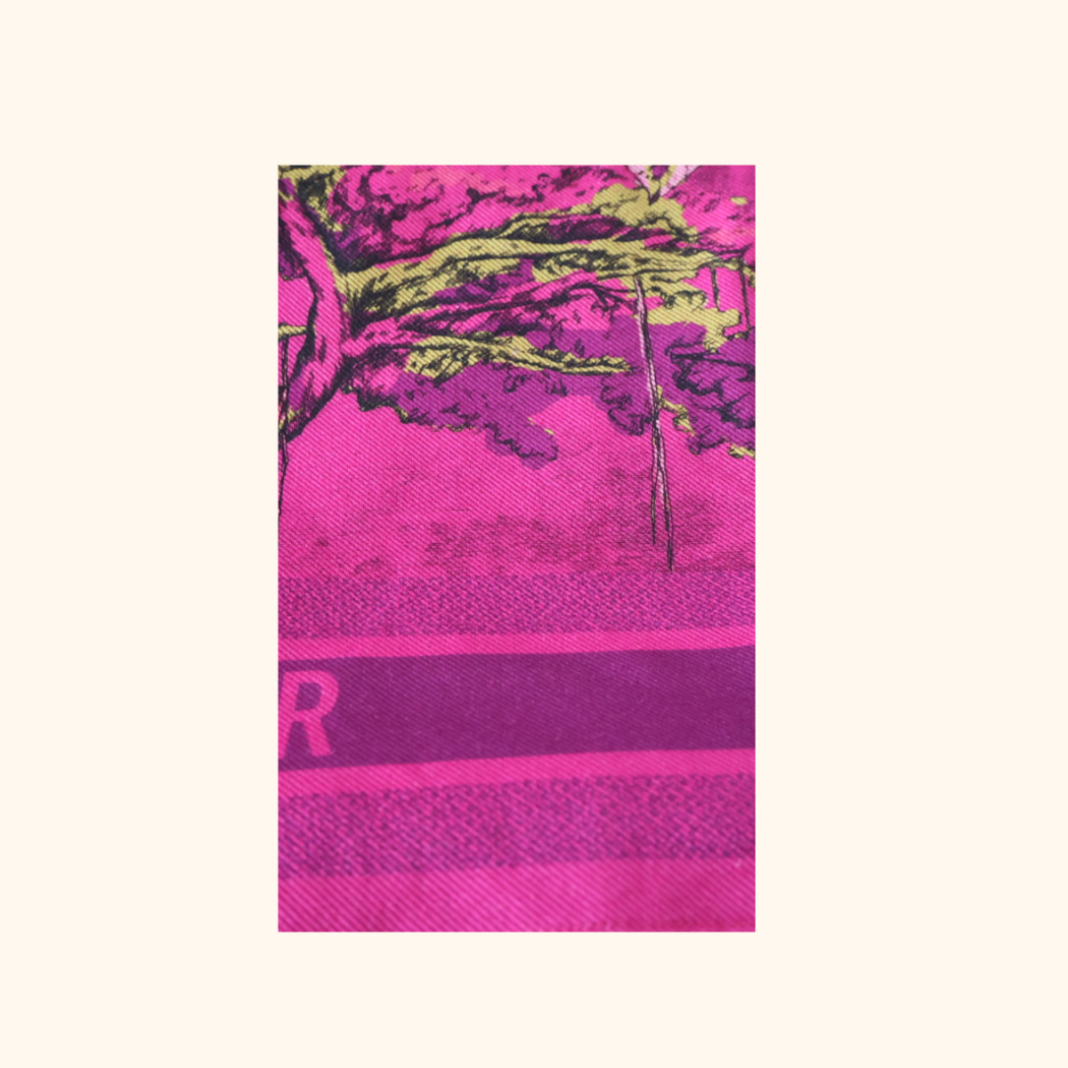 DIOR SCARVE